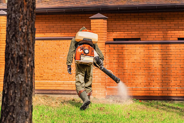 Bed Bug Clearance Verification and Documentation in Williston